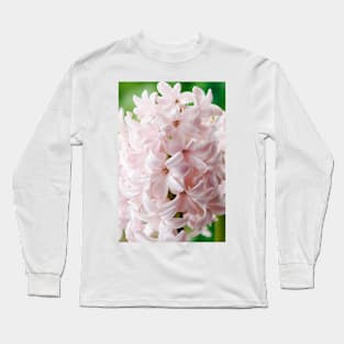 Hyacinthus orientalis  &#39;China Pink&#39;  Hyacinth Long Sleeve T-Shirt